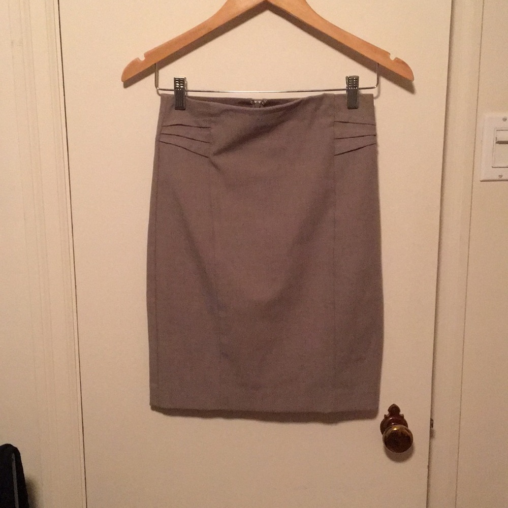 Express Pencil Skirt